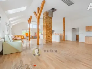 Prodej komerční nemovitosti, Velká Chmelištná, 550 m2