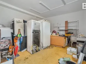 Prodej komerční nemovitosti, Velká Chmelištná, 550 m2