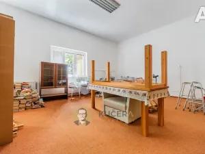 Prodej rodinného domu, Velká Chmelištná, 550 m2