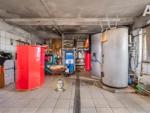 Prodej rodinného domu, Velká Chmelištná, 550 m2