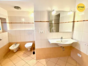 Pronájem bytu 3+1, Opava - Předměstí, Stojanova, 133 m2