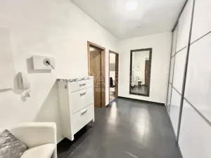 Pronájem bytu 2+kk, Plzeň - Bolevec, U Velkého rybníka, 58 m2