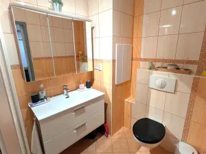 Prodej bytu 2+1, Most, M. G. Dobnera, 54 m2