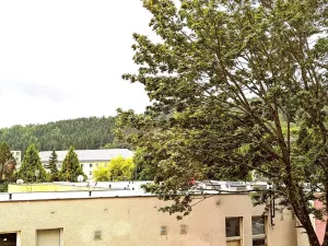 Pronájem bytu 1+kk, Kraslice, B. Smetany, 22 m2