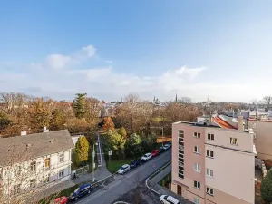 Pronájem kanceláře, Olomouc, Karolíny Světlé, 30 m2
