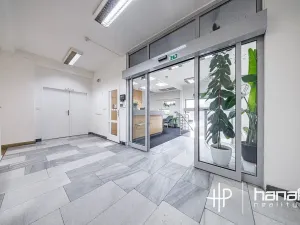 Pronájem kanceláře, Olomouc, Karolíny Světlé, 50 m2