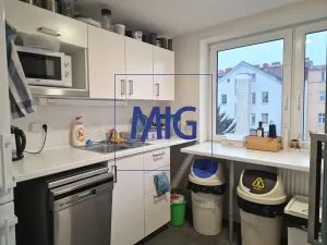 Pronájem kanceláře, Brno, Kounicova, 159 m2