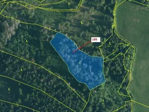 Dražba lesa, Zálezly, 4542 m2