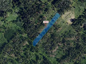 Dražba lesa, Veverské Knínice, 3926 m2