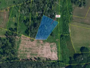 Dražba lesa, Mladoňovice, 1427 m2