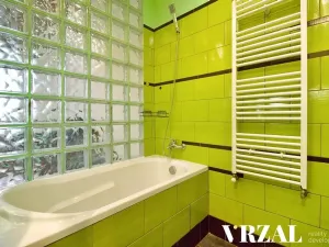 Pronájem bytu 2+kk, Plzeň, Lipová, 44 m2