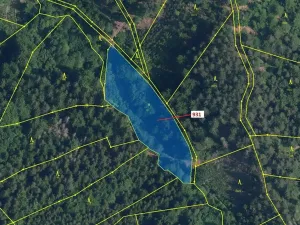 Dražba louky, Jílové u Držkova, 4019 m2