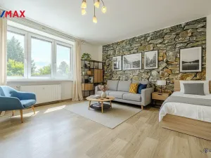 Prodej bytu 1+1, Vítkov, Wolkerova, 39 m2