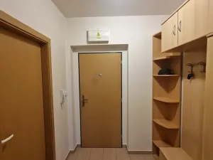 Prodej bytu 1+kk, Štěnovice, Čižická, 27 m2