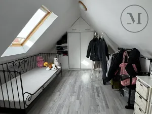 Prodej rodinného domu, Nová Ves, 480 m2