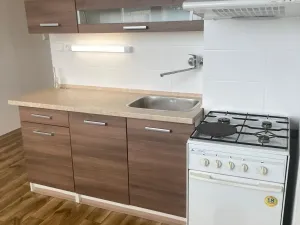 Prodej bytu 1+1, Ústí nad Labem - Severní Terasa, Stavbařů, 42 m2