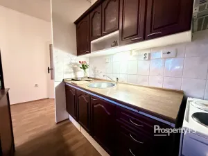 Pronájem bytu 1+1, Ústí nad Labem - Severní Terasa, Rabasova, 42 m2