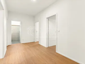 Prodej rodinného domu, Radějovice - Olešky, 218 m2