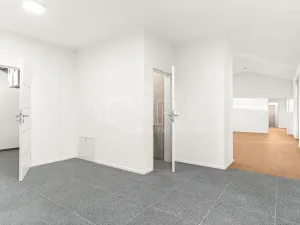 Prodej rodinného domu, Radějovice - Olešky, 218 m2