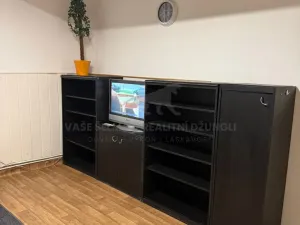 Pronájem atypického bytu, Praha - Košíře, Vrchlického, 20 m2