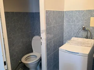 Pronájem atypického bytu, Praha - Košíře, Vrchlického, 20 m2