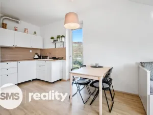 Prodej bytu 3+kk, Dolní Morava - Velká Morava, 47 m2