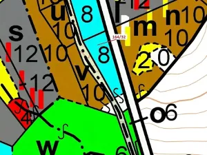 Dražba lesa, Budíškovice, 1817 m2