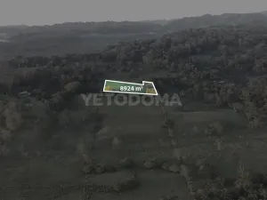 Prodej pozemku pro bydlení, Puerto Jiménez, Kostarika, Calle Los Pollos, 8924 m2