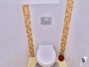 Pronájem bytu 1+1, Praha - Smíchov, Na Skalce, 48 m2