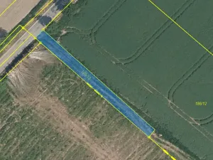 Prodej louky, Svijany, 1799 m2