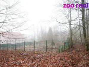 Prodej pozemku pro bydlení, Frymburk - Kovářov, 880 m2
