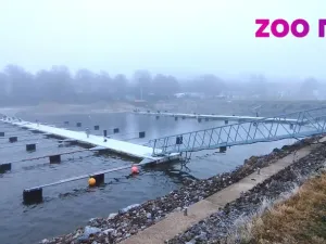 Prodej pozemku pro bydlení, Frymburk - Kovářov, 880 m2