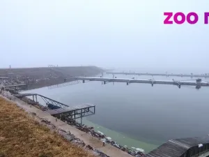 Prodej pozemku pro bydlení, Frymburk - Kovářov, 880 m2