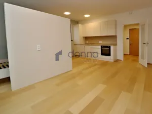 Pronájem bytu 1+kk, Praha, V třešňovce, 43 m2