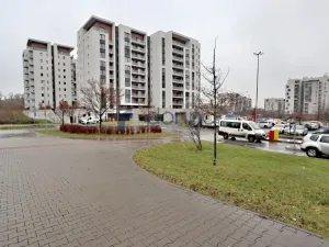 Pronájem bytu 1+kk, Praha, V třešňovce, 43 m2
