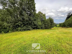 Prodej louky, Lučany nad Nisou, 618 m2