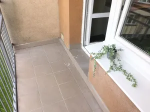 Pronájem bytu 3+1, Ostrava - Dubina, Antonína Poledníka, 65 m2