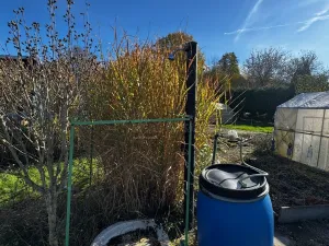 Prodej zahrady, Přerov, 233 m2