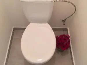 Pronájem bytu 2+1, Ostrava - Hrabůvka, Plzeňská, 53 m2