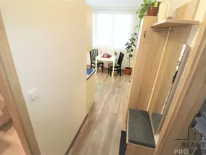 Pronájem bytu 1+1, Ostrava - Moravská Ostrava, Petra Křičky, 40 m2