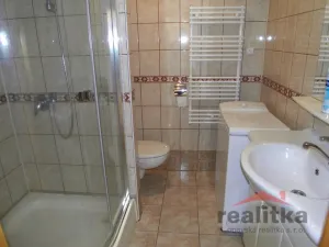 Prodej bytu 1+1, Opava - Kateřinky, Holasická, 36 m2