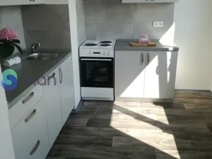 Pronájem bytu 1+1, Ostrava - Hrabůvka, Dr. Martínka, 36 m2