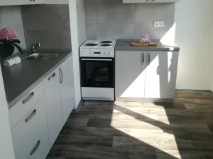 Pronájem bytu 1+1, Ostrava - Hrabůvka, Dr. Martínka, 36 m2