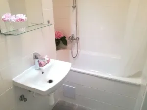 Pronájem bytu 1+1, Ostrava - Hrabůvka, Dr. Martínka, 36 m2