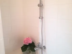 Pronájem bytu 1+1, Ostrava - Hrabůvka, Dr. Martínka, 36 m2