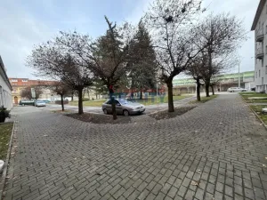 Pronájem bytu 2+1, České Budějovice - České Budějovice 3, Jeremiášova, 53 m2