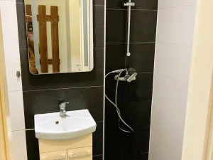 Pronájem bytu 1+kk, Ostrava - Hrabůvka, Krakovská, 22 m2