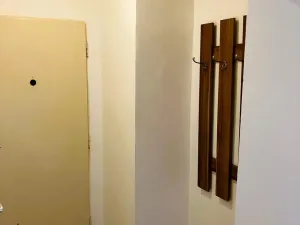 Pronájem bytu 1+kk, Ostrava - Hrabůvka, Krakovská, 22 m2