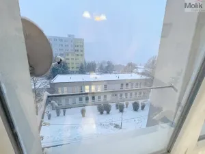 Prodej bytu 2+kk, Litvínov - Hamr, Přátelství, 40 m2