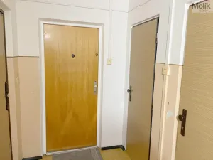 Prodej bytu 2+kk, Litvínov - Hamr, Přátelství, 40 m2